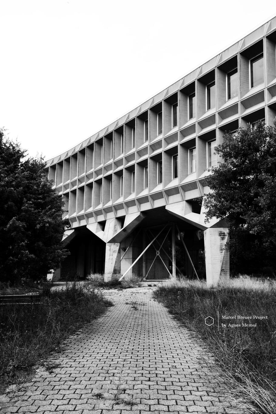 Ground level black and white photograph of the IBM building's massive concrete pillars and a stone pathway leading under the structure.