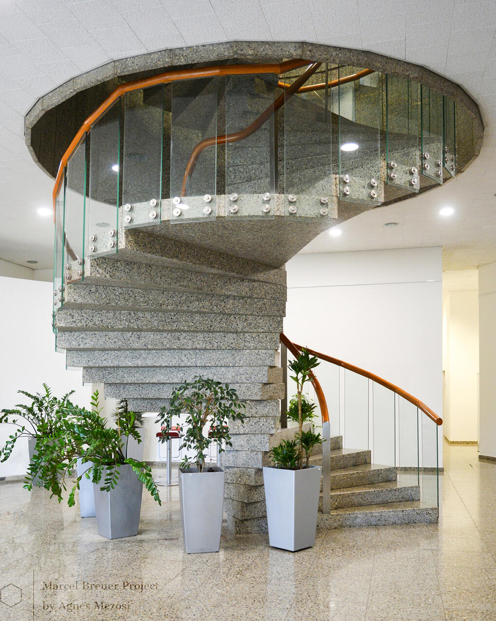 An elegant, sculptural concrete spiral staircase inside the Mundipharma building, viewed from below against a minimalist ceiling.