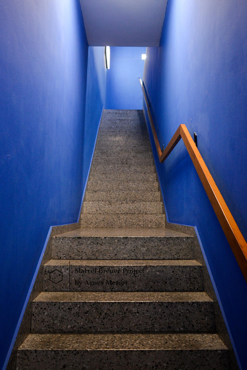Interior view of a narrow staircase with vibrant blue walls and a wooden handrail, showing a surprising use of color in Breuer's brutalist interior.