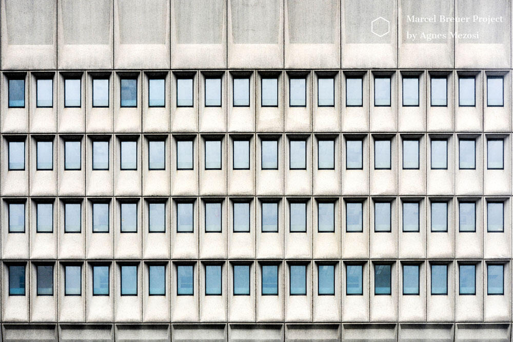 Wide-angle photograph capturing the repetitive, modular grid pattern of dozens of uniform windows on the building's facade.
