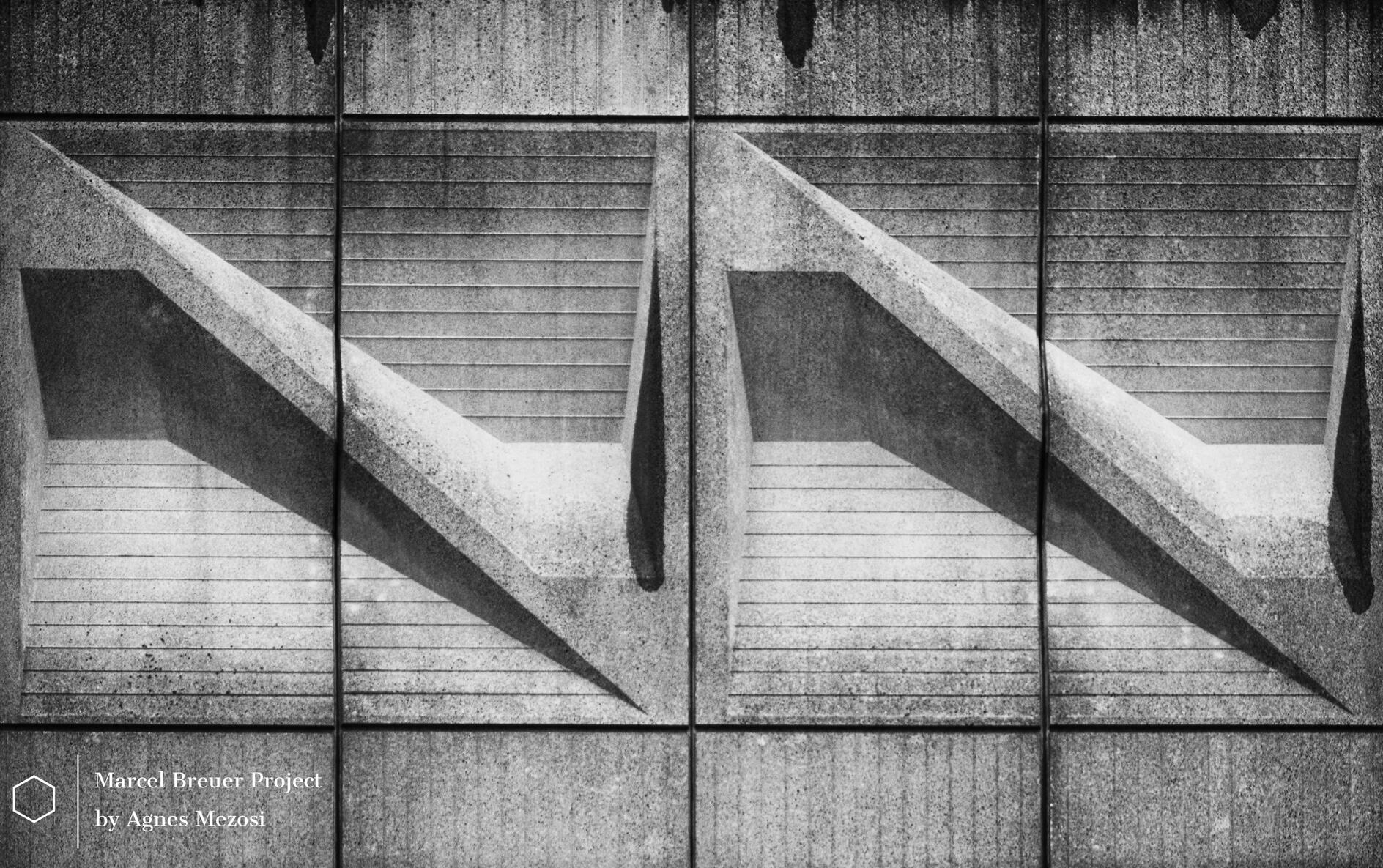 Detailed close-up photograph of repetitive.