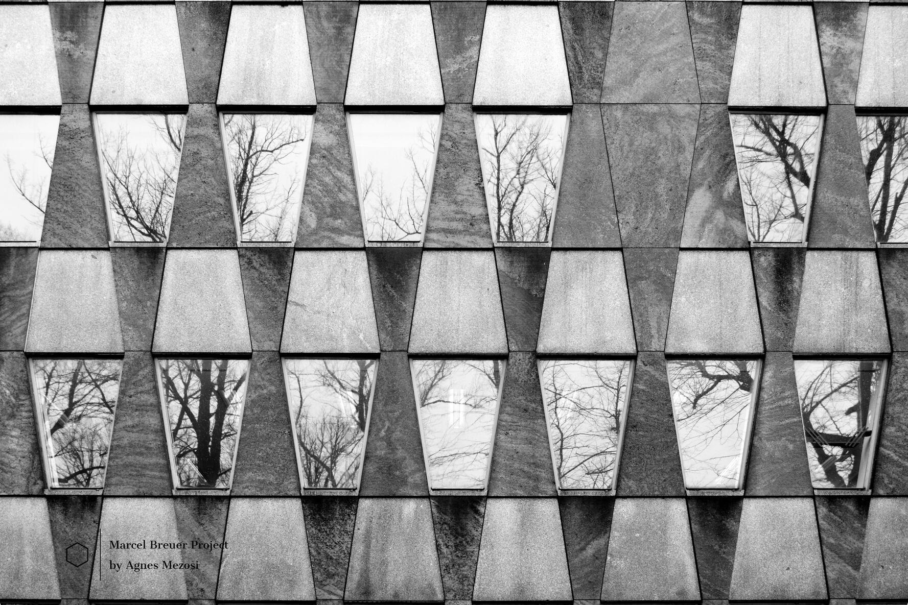 Detailed close-up of the interlocking trapezoidal window modules, creating a complex pattern of grey tones and reflections.