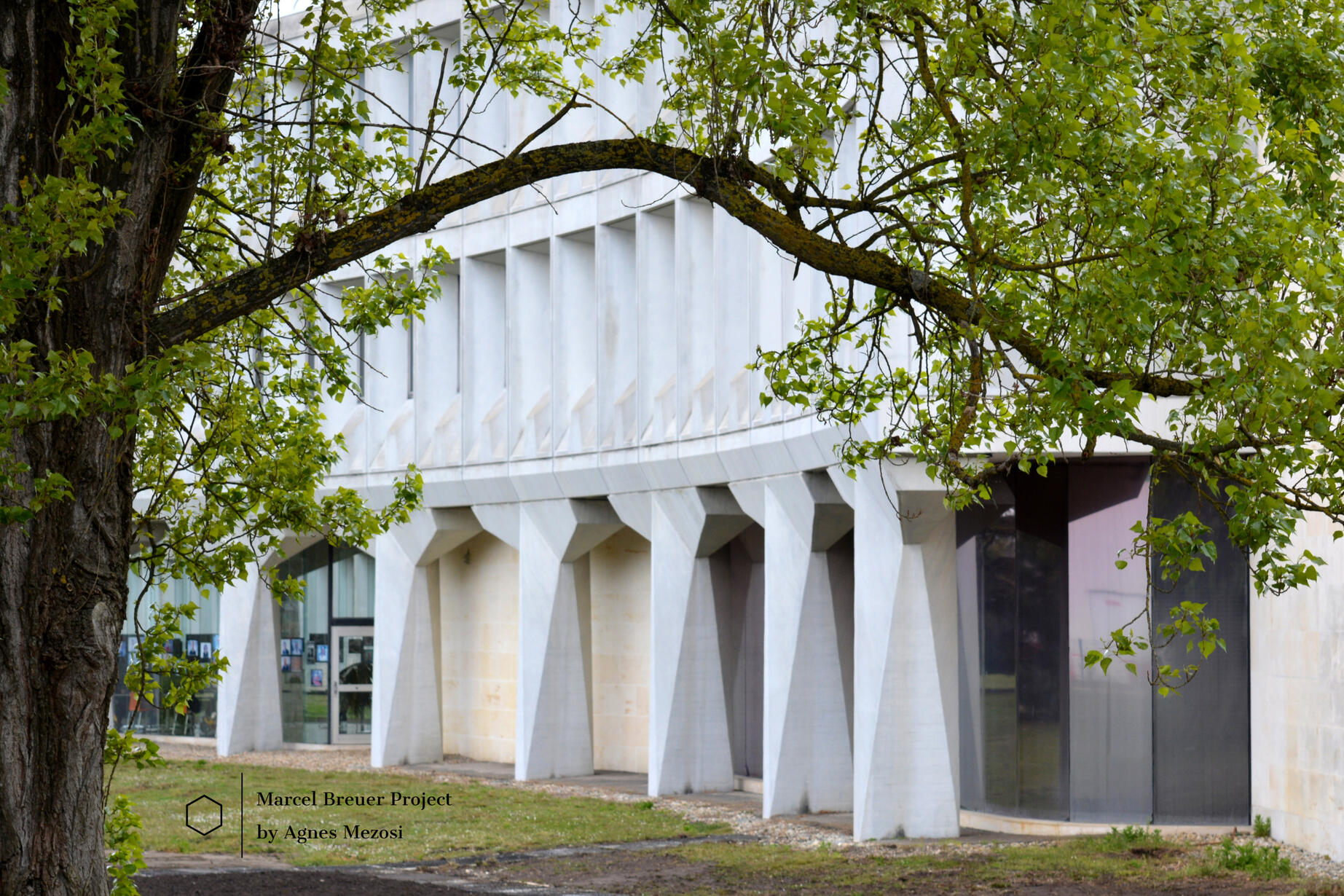 Color photograph of the white concrete building partially framed by the green leaves of a tree in the foreground.
