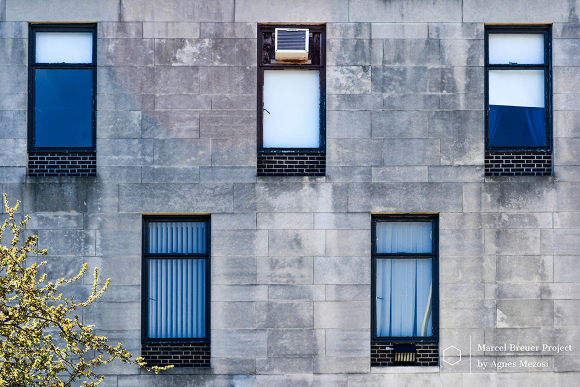 A symmetrical shot of five rectangular blue-tinted windows set into a light grey stone wall, arranged in a staggered pattern.