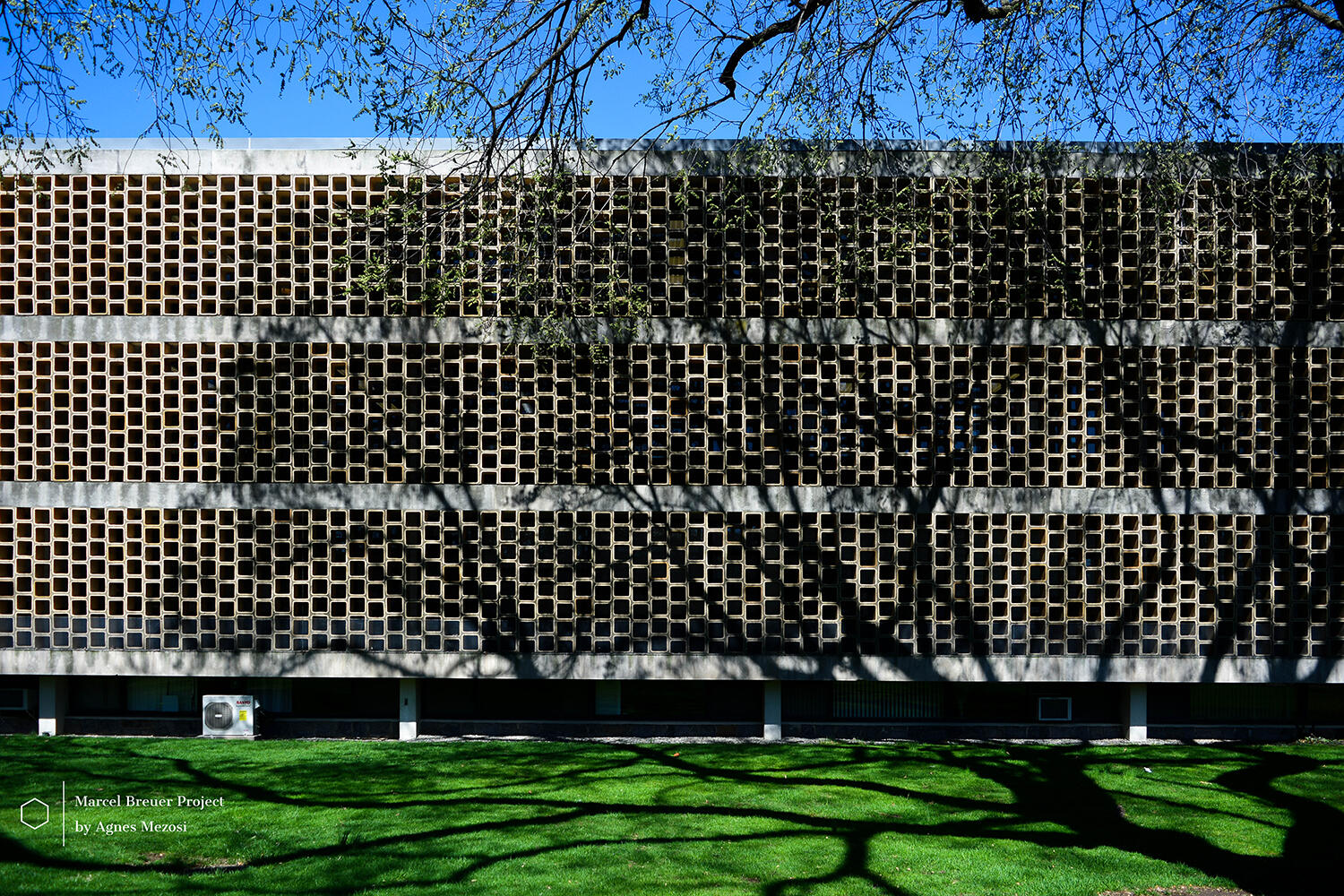 A color photograph of the Shuster Hall facade featuring a dense, repeating concrete lattice, with the dark shadows of bare tree branches cast across it.